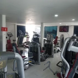 Fox Gym Pachuca