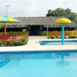 PALAPA SPLASH