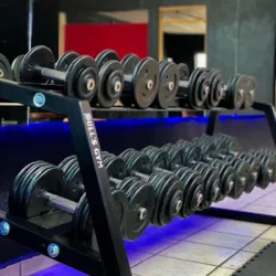 Bull's Gym