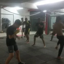 Autlan MMA