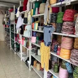 Estambres Lupita