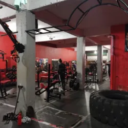 EVOLUTION GYM