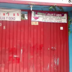 Rentas Silva Y Geko