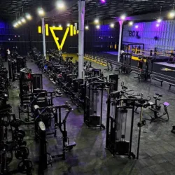 FitVibes Gym Insurgentes