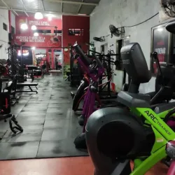 Sparta Gym & Fitness Club