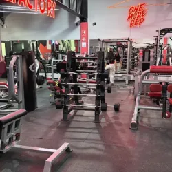 MF GYM CLUB