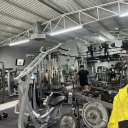 Bongo's Gym Sports