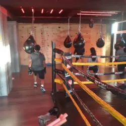 Sport University Gym