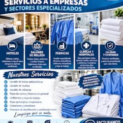 Wash & Wear Tintoreria -planchado y lavado