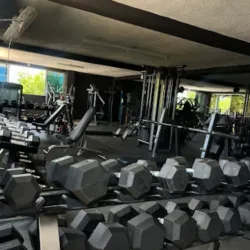Black Gym