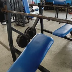 Gemelos Mutantes GYM