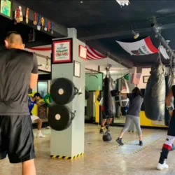 Club De Boxeo Tiburones