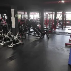 Hammer Gym