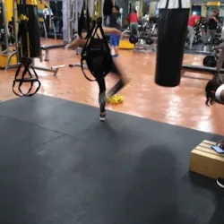 Sport Fit