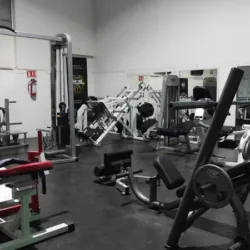 Kings Gym Coyoacán