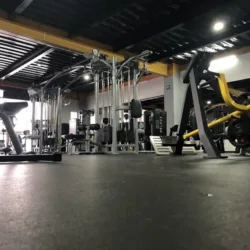 Black Bull Gym