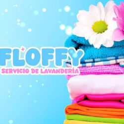 Lavandería Floffy