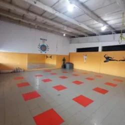 Escuela de karate free style
