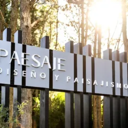 PAESAJE | Estudio de DISEÑO Y PAISAJISMO