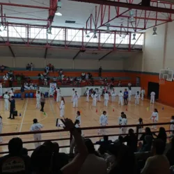 "Gimnasio Presidente Miguel Alemán"
