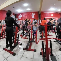 DanzArte Fit