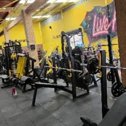 GIMNASIO LIVE FIT "LAS JOYAS"