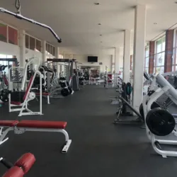 GYM MANIA