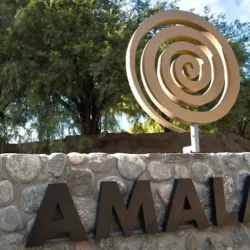 Bodega Amalaya & Wine Bar