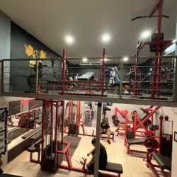 ARMY GYM