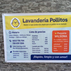 Lavanderia Tintorería y Costura pollitos