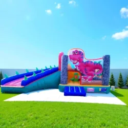 INFLABLES AVENTURA