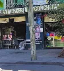 Papeleria Y Merceria Conchita