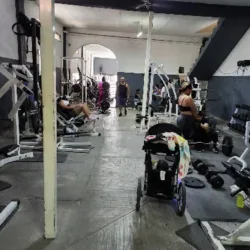 Gym Alex power