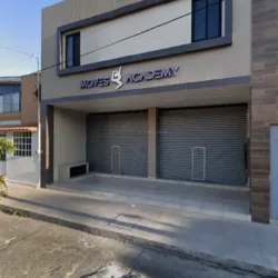 MOVES ACADEMY