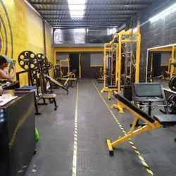 Team Lion's Gym