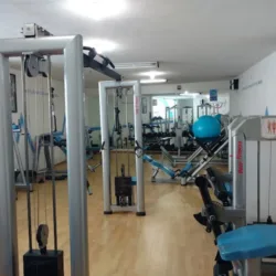 Sport Midlobs