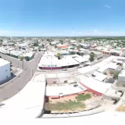 Viva meoqui