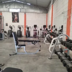 Puma gym oficial