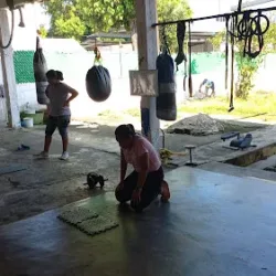 BOX E INSANITY/COACH FREDDY