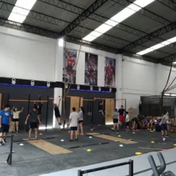 Lion Crossfitness Izcalli