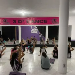 Three D Dance Academy - PROVILEON