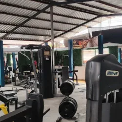 IMPERIUS gym