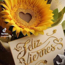 Tarot lectura de cartas