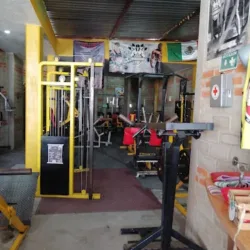 BARBAROS GYM