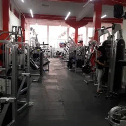 New Body Penjamo