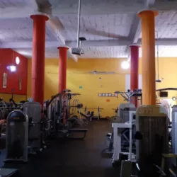 The Maxximum Fitness