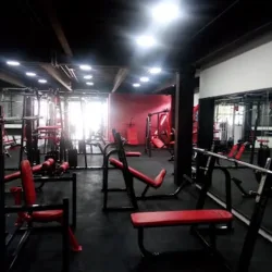 GYM MOM ROSE