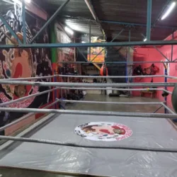 Gym boxeo de alto rendimiento estilo cesar