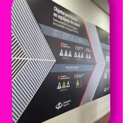 Grafica Pitahaya