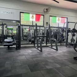 Wellness Gym Club